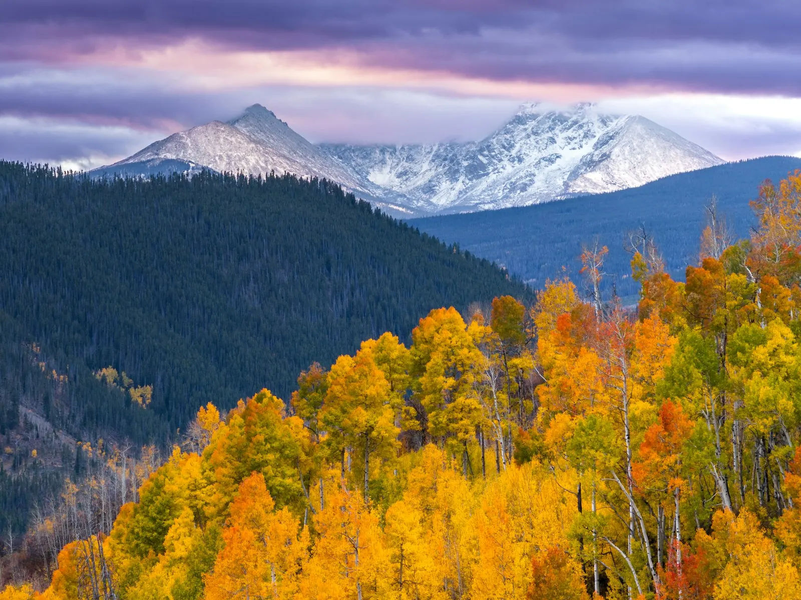 Golden aspens beneath snowy Colorado peaks
